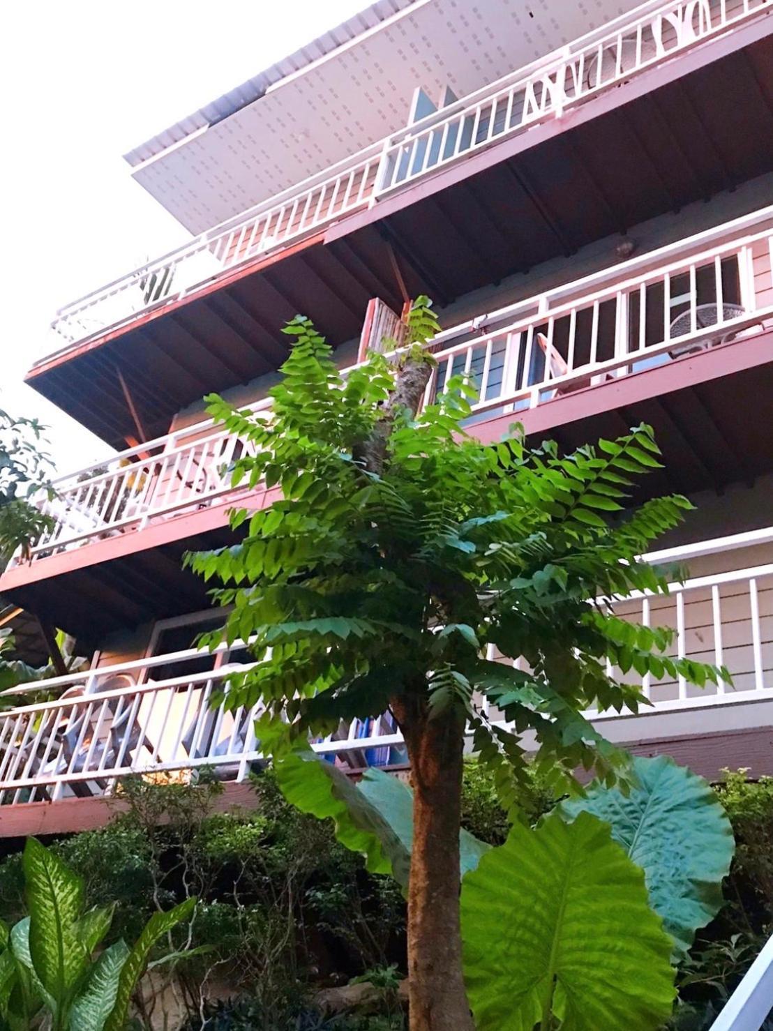 Auberge de jeunesse Blue View House Phi Phi Extérieur photo